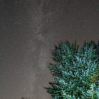 Buy canvas prints of The Milky Way  by AMANDA AINSLEY