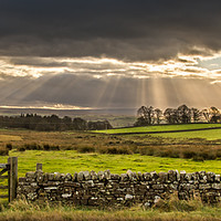 Buy canvas prints of Sun Rays over Teesdale by AMANDA AINSLEY