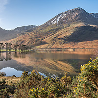 Buy canvas prints of Springtime in Buttermere by AMANDA AINSLEY