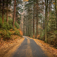 Buy canvas prints of A Majestic Autumn Drive by AMANDA AINSLEY