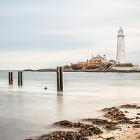 Buy canvas prints of St Mary's Lighthouse by AMANDA AINSLEY