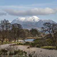 Buy canvas prints of Majestic Ben Nevis rises in Spring by AMANDA AINSLEY