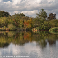 Buy canvas prints of Serene Autumn Reflections by AMANDA AINSLEY