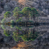 Buy canvas prints of Majestic Scots Pines Reflecting on Loch Eilt by AMANDA AINSLEY