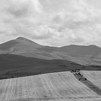 Buy canvas prints of Skiddaw by Charles Little