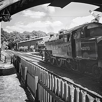 Buy canvas prints of Haverthwaite & Lakeside Steam Railway              by Charles Little