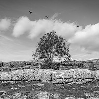 Buy canvas prints of Malham Cove by Charles Little