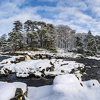Buy canvas prints of 'Low Force, Winter' by Mark Brownless