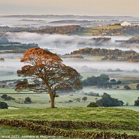 Buy canvas prints of Misty Valley  by Amanda Wood