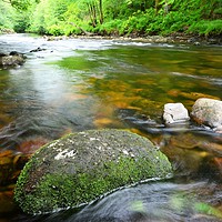 Buy canvas prints of    River Dart                                  by philip myers