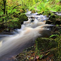 Buy canvas prints of          White waters of Wyming Brook              by philip myers