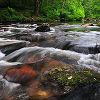 Buy canvas prints of     River Dart                                 by philip myers