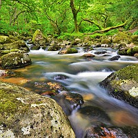 Buy canvas prints of            The Plym, Shaugh Prior                  by philip myers