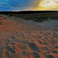 Buy canvas prints of   Footprints in the sand                           by philip myers