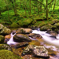 Buy canvas prints of River Plym, Devon                                  by philip myers