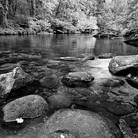 Buy canvas prints of     Tranquility in mono                            by philip myers