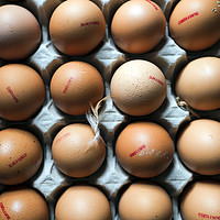 Buy canvas prints of Eggs Version 1 by Thomas Harman