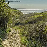 Buy canvas prints of View towards the sea at Monknash Glamorgan Coast by Nick Jenkins