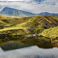 Buy canvas prints of Looking up at Picws Du in the Black Mountain Carma by Nick Jenkins