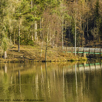 Buy canvas prints of Mallards Pike Lake Forest of Dean  by Nick Jenkins