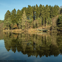 Buy canvas prints of Mallards Pike Pond in the Forest of Dean Glouceste by Nick Jenkins
