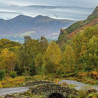 Buy canvas prints of Ashness Bridge and Skiddaw Lake District  by Nick Jenkins