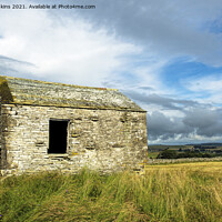 Buy canvas prints of Old Sheep Barn Ravenstonedale County Cumbria by Nick Jenkins