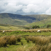 Buy canvas prints of Looking towards Cautley Crags from Uldale by Nick Jenkins