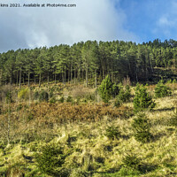 Buy canvas prints of Forestry at the top of the Garw Valley South Wales by Nick Jenkins