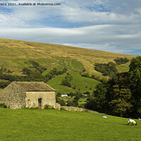 Buy canvas prints of Dales Barn on the Deepdale Fells Cumbria by Nick Jenkins