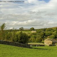 Buy canvas prints of Fields and Barns in Dentdale Cumbria by Nick Jenkins