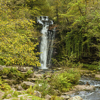 Buy canvas prints of Blaen y Glyn Waterfall Brecon Beacons by Nick Jenkins