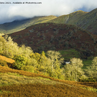 Buy canvas prints of Autumn in the Troutbeck Valley Lake District by Nick Jenkins