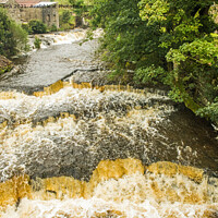 Buy canvas prints of River Ure in Wensleydale in spate Yorkshire Dales by Nick Jenkins