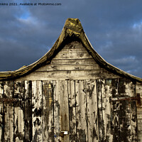 Buy canvas prints of Lindisfarne Upturned Herring Boat as Shed by Nick Jenkins