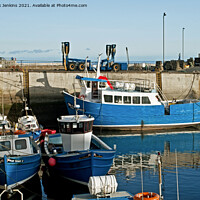 Buy canvas prints of Seahouses Harbour Northumberland Coast  by Nick Jenkins