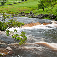 Buy canvas prints of River Wharfe in full flow Wharfedale  by Nick Jenkins
