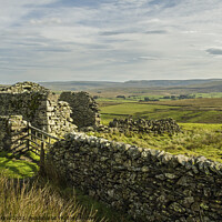 Buy canvas prints of Abandoned Barn Artlegarth Cumbria  by Nick Jenkins