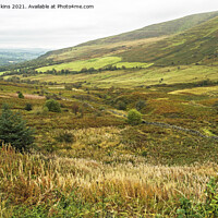 Buy canvas prints of The Tarell Valley Brecon Beacons Looking North by Nick Jenkins