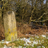 Buy canvas prints of Milestone near Yorkley Forest of Dean by Nick Jenkins