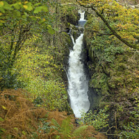 Buy canvas prints of Aira Force Lake District Cumbria by Nick Jenkins