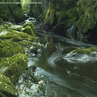 Buy canvas prints of Fairy Glen River Conwy Betws y Coed North Wales  by Nick Jenkins