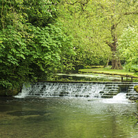 Buy canvas prints of River Eye Running Through Lower Slaughter in the Cotswolds by Nick Jenkins