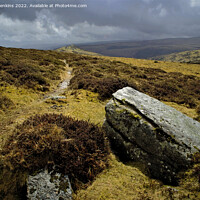 Buy canvas prints of Sharptor and Granite Boulders Dartmoor by Nick Jenkins