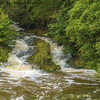 Buy canvas prints of Un-named Tributary of the River Lune Firbank Cumbria by Nick Jenkins