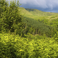 Buy canvas prints of Looking over woodland to Waun Rydd Brecon Beacons by Nick Jenkins