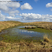 Buy canvas prints of The Great Cairn and Pond Cefn Bryn Gower by Nick Jenkins