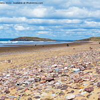 Buy canvas prints of Rhossili Bay and Burry Holms Gower by Nick Jenkins
