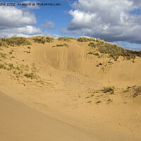 Buy canvas prints of Sand Dunes Rhossili Beach Llangennith Gower by Nick Jenkins