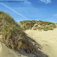 Buy canvas prints of Sand Dunes Llangennith Rhossili Bay Gower by Nick Jenkins